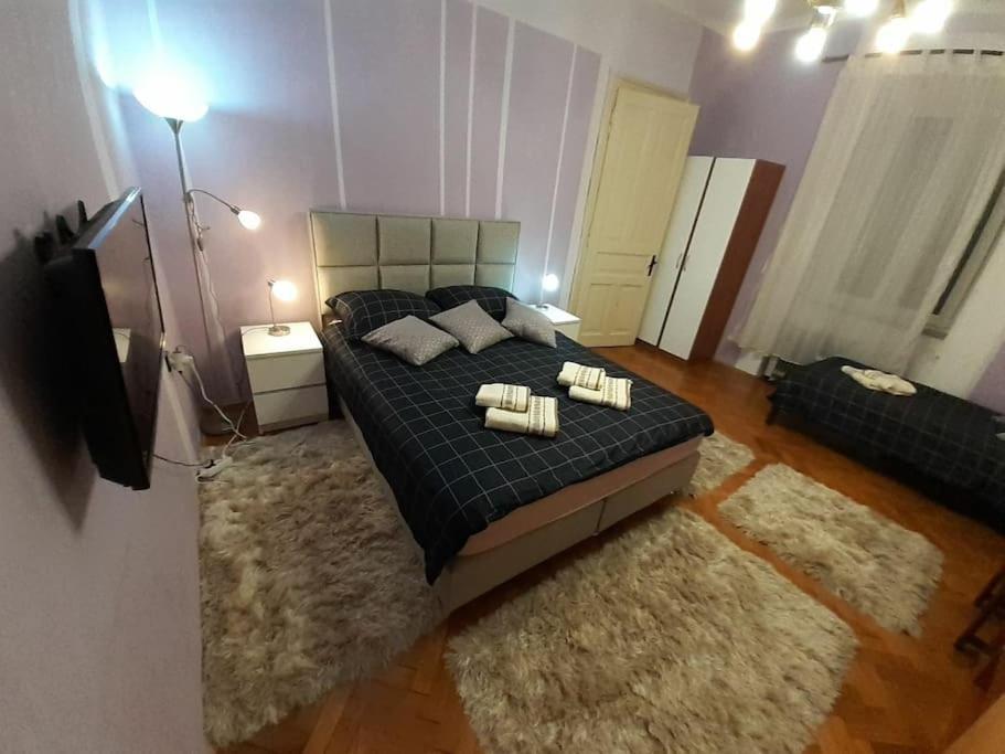 Apartman Forza Fiume 里耶卡 外观 照片