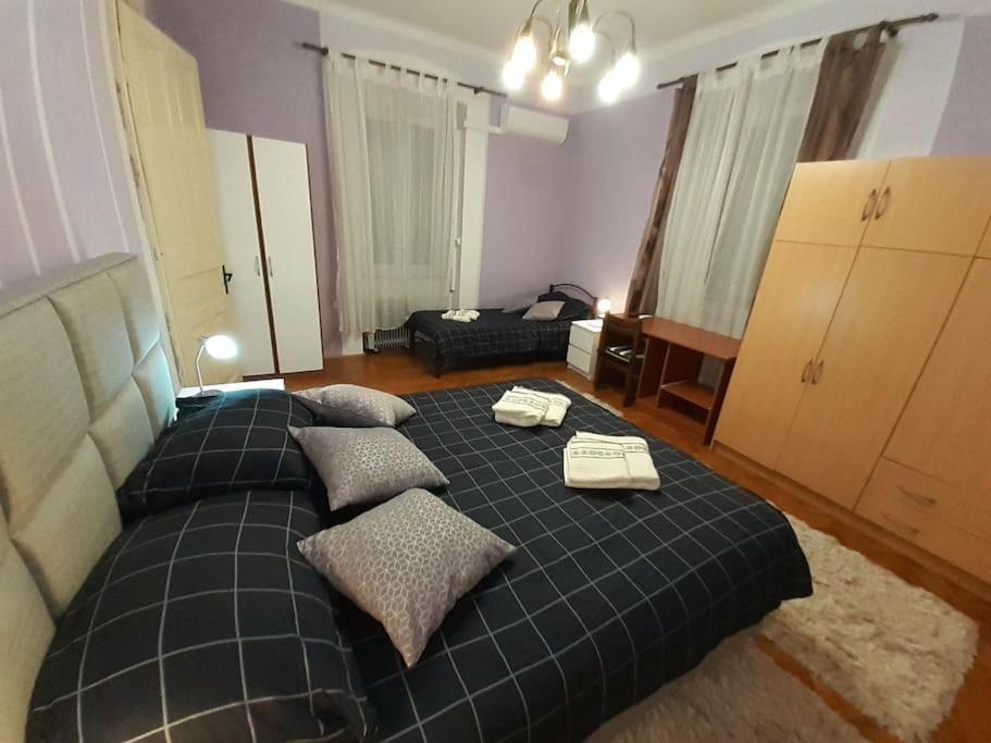 Apartman Forza Fiume 里耶卡 外观 照片