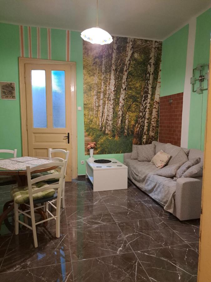 Apartman Forza Fiume 里耶卡 外观 照片